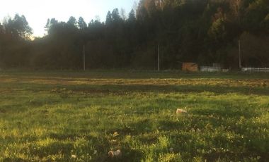 Terreno Construccion en Venta en Salida Sur de Valdivia