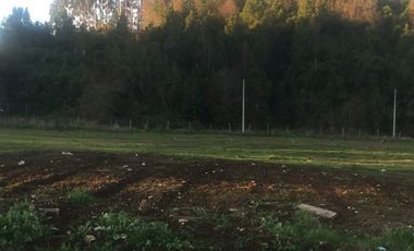 Terreno Construccion en Venta en Salida Sur de Valdivia