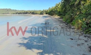 Beachfront Property for Sale in San Vicente, Palawan