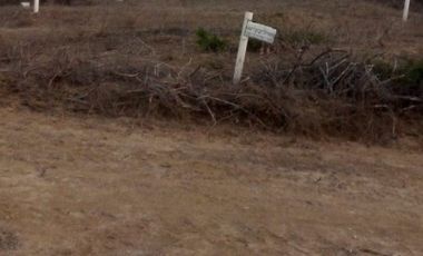 🏝️ ¡Oportunidad de inversión en la Ruta del Spondylus!