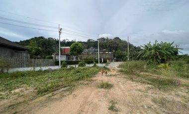 Land for sale in Sakhu, Phuket
