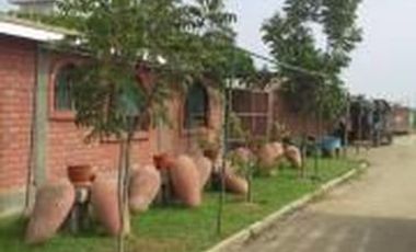 (D)TERRENO QUILMANA  FUNDO CON CULTIVO 160,000 M2