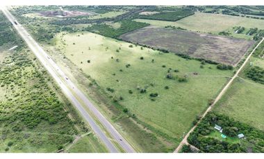 Vendo Campo 24 Has en Autovía 14 Concepción del Uruguay Entre Ríos