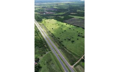 Vendo Campo 24 Has en Autovía 14 Concepción del Uruguay Entre Ríos