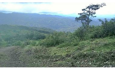 VENDO TERRENO DE 11 HECTAREAS CALDERA