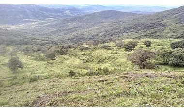 VENDO TERRENO DE 11 HECTAREAS CALDERA