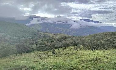 VENDO TERRENO DE 11 HECTAREAS CALDERA