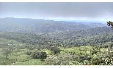 VENDO TERRENO DE 11 HECTAREAS CALDERA