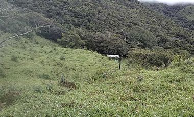 VENDO TERRENO DE 11 HECTAREAS CALDERA