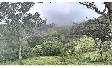 VENDO TERRENO DE 11 HECTAREAS CALDERA