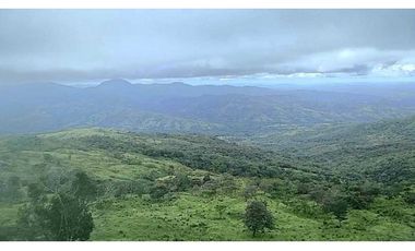 VENDO TERRENO DE 11 HECTAREAS CALDERA
