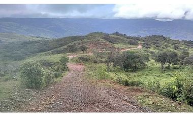 VENDO TERRENO DE 11 HECTAREAS CALDERA