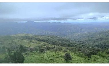 VENDO TERRENO DE 11 HECTAREAS CALDERA