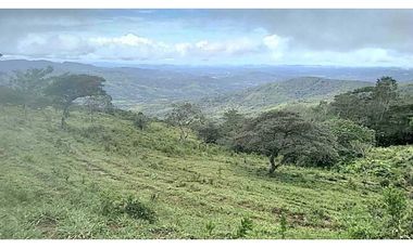 VENDO TERRENO DE 11 HECTAREAS CALDERA