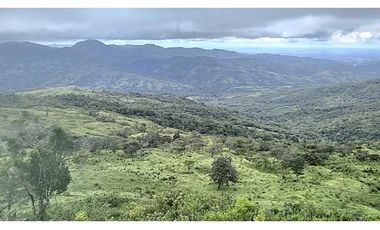VENDO TERRENO DE 11 HECTAREAS CALDERA