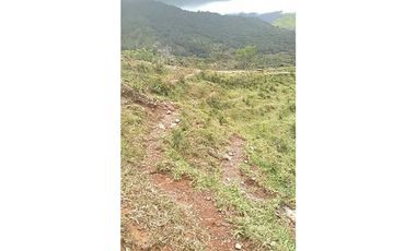 VENDO TERRENO DE 11 HECTAREAS CALDERA