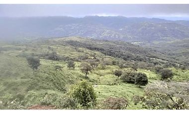 VENDO TERRENO DE 11 HECTAREAS CALDERA
