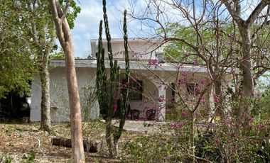 Quinta en Izamal con Luz propiedad privada con arboles frutales