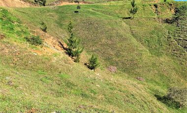 PR11835 SE VENDE LOTE EN SECTOR EL RETIRO.