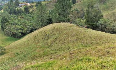 PR11835 SE VENDE LOTE EN SECTOR EL RETIRO.