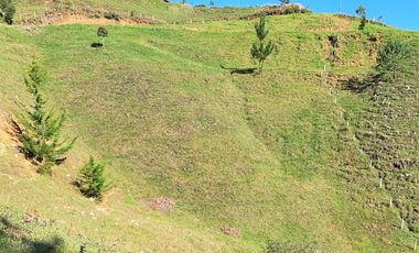PR11835 SE VENDE LOTE EN SECTOR EL RETIRO.