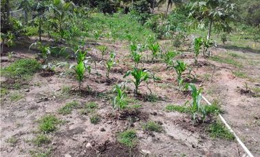 VENTA CASA EN CORONADO