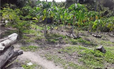 VENTA CASA EN CORONADO