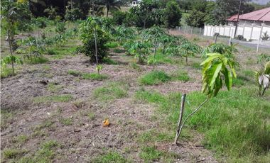 VENTA CASA EN CORONADO