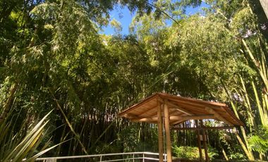 apartamento en venta en las violetas. Cod V7344726