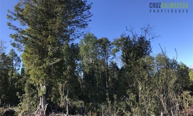 Parcela en Venta en Parcela de 19.800 mt2 a orilla de camino Sector Las Marcas