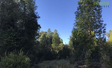 Parcela en Venta en Parcela de 19.800 mt2 a orilla de camino Sector Las Marcas