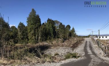 Parcela en Venta en Parcela de 19.800 mt2 a orilla de camino Sector Las Marcas