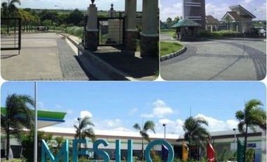 Lot for sale in Dasmari&ntilde;as cavite