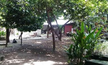 Tanah pekarangan luas lokasi strategis di tengah kota Jogja