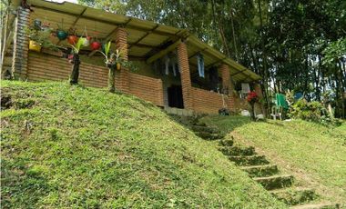 EXCELENTE FINCA EN VENTA EN PANCE CALI