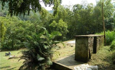EXCELENTE FINCA EN VENTA EN PANCE CALI