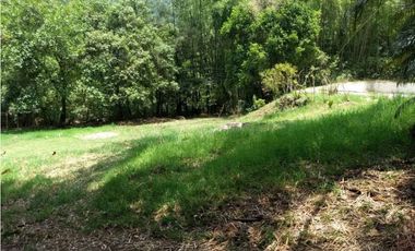 EXCELENTE FINCA EN VENTA EN PANCE CALI