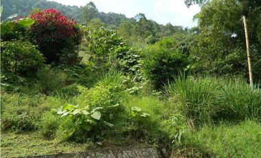 EXCELENTE FINCA EN VENTA EN PANCE CALI