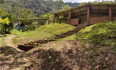 EXCELENTE FINCA EN VENTA EN PANCE CALI