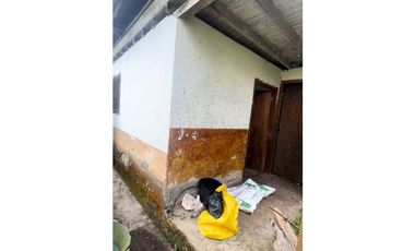 VENTA FINCA CASTILLA PCORA 32 HECTREAS | FINCA PRODUCTIVA EN VENTA