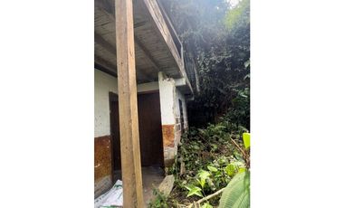 VENTA FINCA CASTILLA PCORA 32 HECTREAS | FINCA PRODUCTIVA EN VENTA