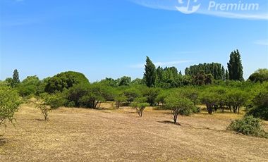 Parcelas 5000 m2 en venta Sector Retiro Camino a Villaseca.
