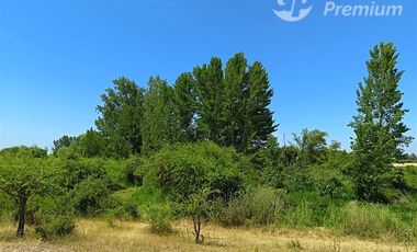 Parcelas 5000 m2 en venta Sector Retiro Camino a Villaseca.
