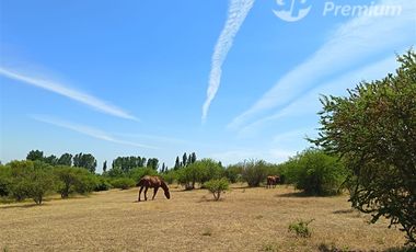 Parcelas 5000 m2 en venta Sector Retiro Camino a Villaseca.