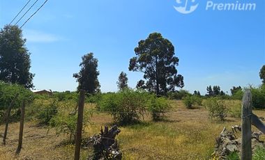 Parcelas 5000 m2 en venta Sector Retiro Camino a Villaseca.
