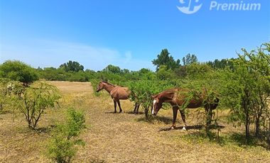 Parcelas 5000 m2 en venta Sector Retiro Camino a Villaseca.