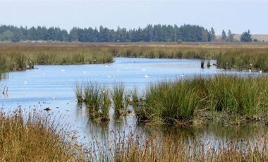 Sitio en Venta en playa lelbun