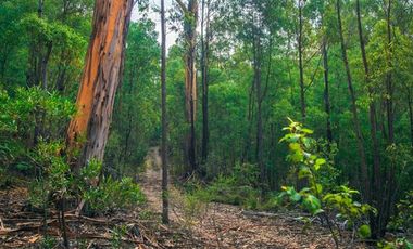 Sitio en Venta en playa lelbun