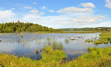 Sitio en Venta en playa lelbun