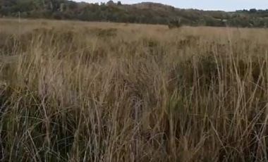 Sitio en Venta en playa lelbun